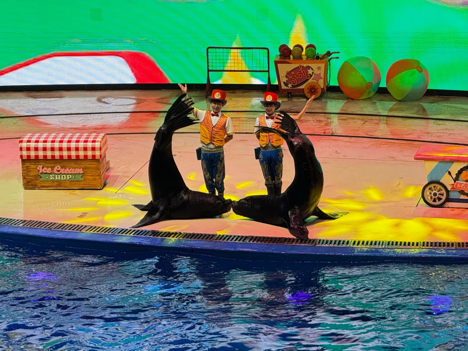 Marine-Animal-Show2 Marine-Animal-Show2